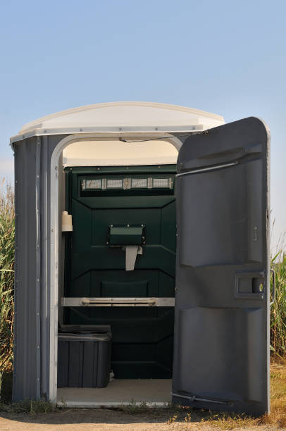 Best Local porta potty services  in Pana, IL